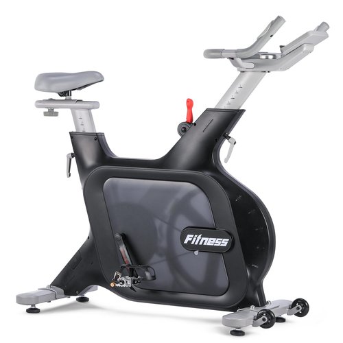 Quiet Electromagnetic Resistance Stationary Bike for Home, Excercise Bike with Wheels for Easy Mobility, Indoor Cycling Bike with Adjustable Comfortable Seat, 32 Levels of Adjustable Resistance, Black