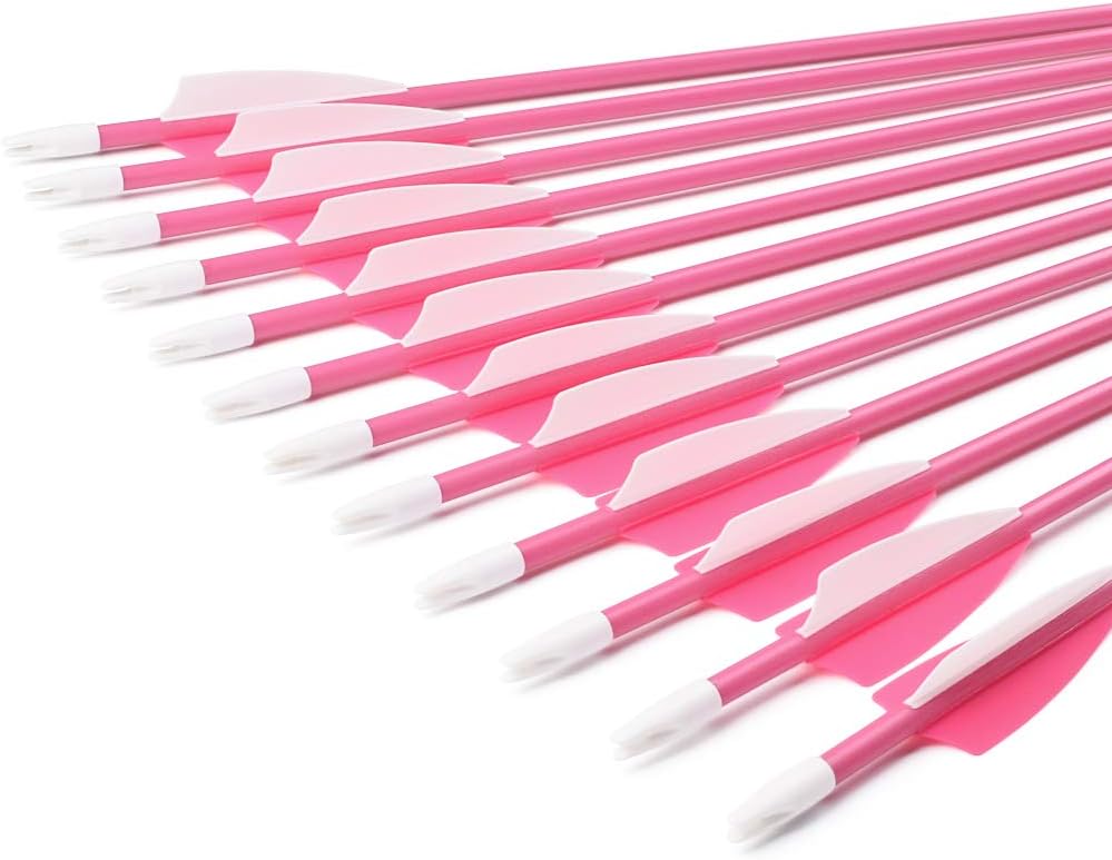 Archery Youth 24 26 Inch Fiberglass Archery Targeting Arrows for Youth Practise Recurvebow Compound Bow Shooting