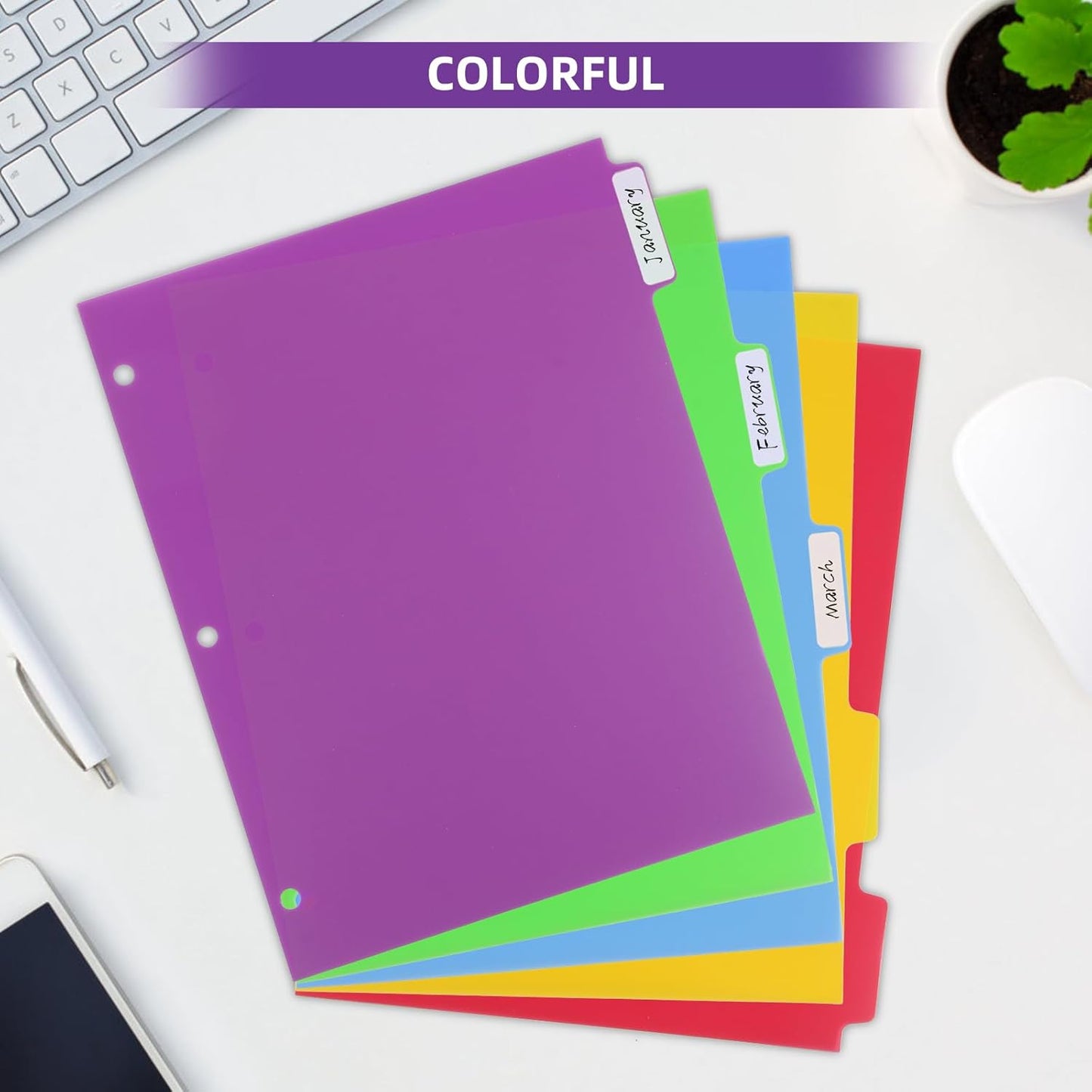 Colorful Binder Dividers with Tabs,Plastic Index with 8-Tabs,for 3 Ring Binder,6 Sets