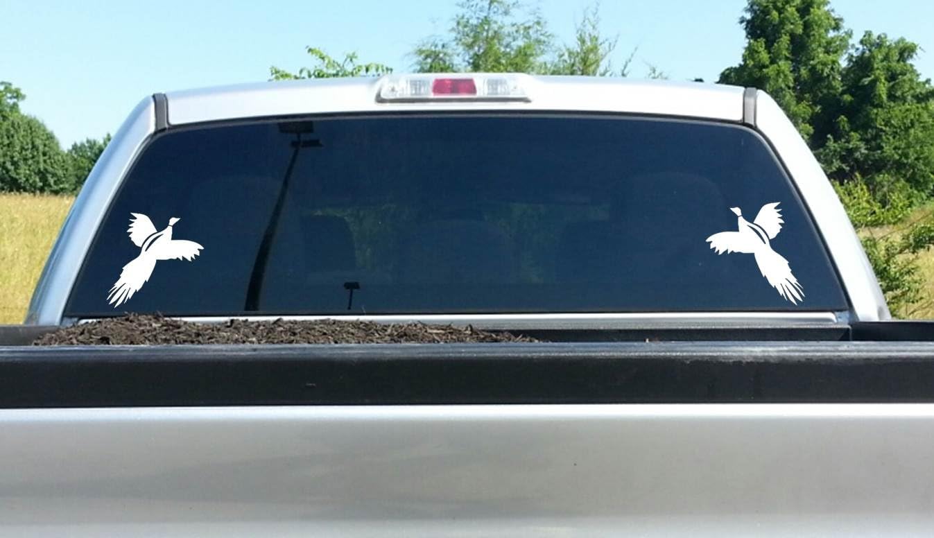 Pheasant Bird Hunting Shotgun Quail Gun Target Shooting Truck SUV Van Trailer