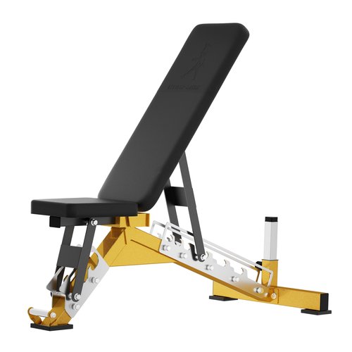 Heavy Duty Weight Bench for Full Body Workout, Multi-Position Adjustable Bench for Home Gym (Black/Gold)