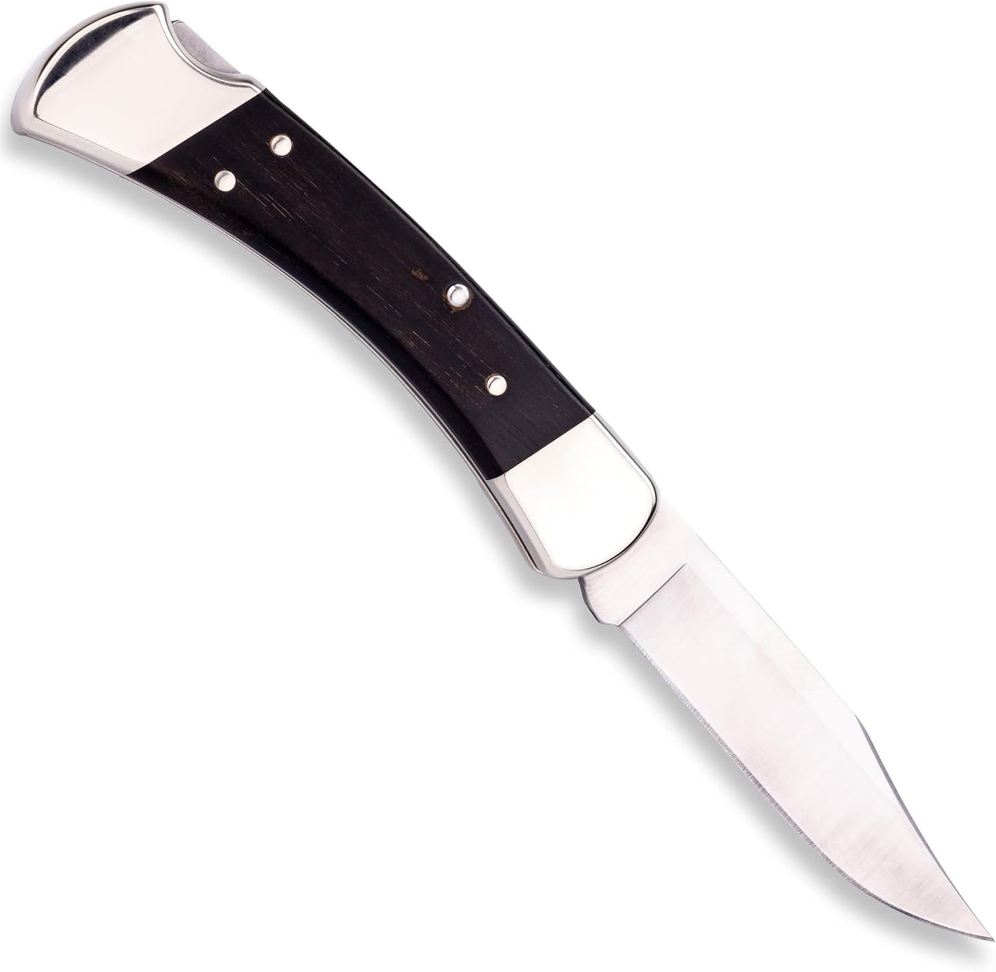 Buck Knives 110 Folding Hunter Lock-back Knife, Brass Bolsters, Ebony Handles, 3-3/4" 420HC Blade with Leather Sheath