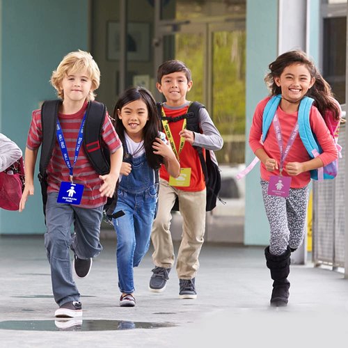Hall Pass Lanyards with Card Passes,Unbreakable School Classroom Passes Set for Teacher Parents (Hall Bathroom Library Office & Nurse),5 Pcs (Hall)