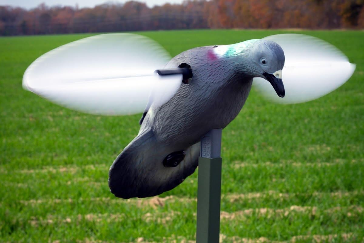 MOJO Outdoors Dove Hunting Decoys and Accessories – (Choose Style)