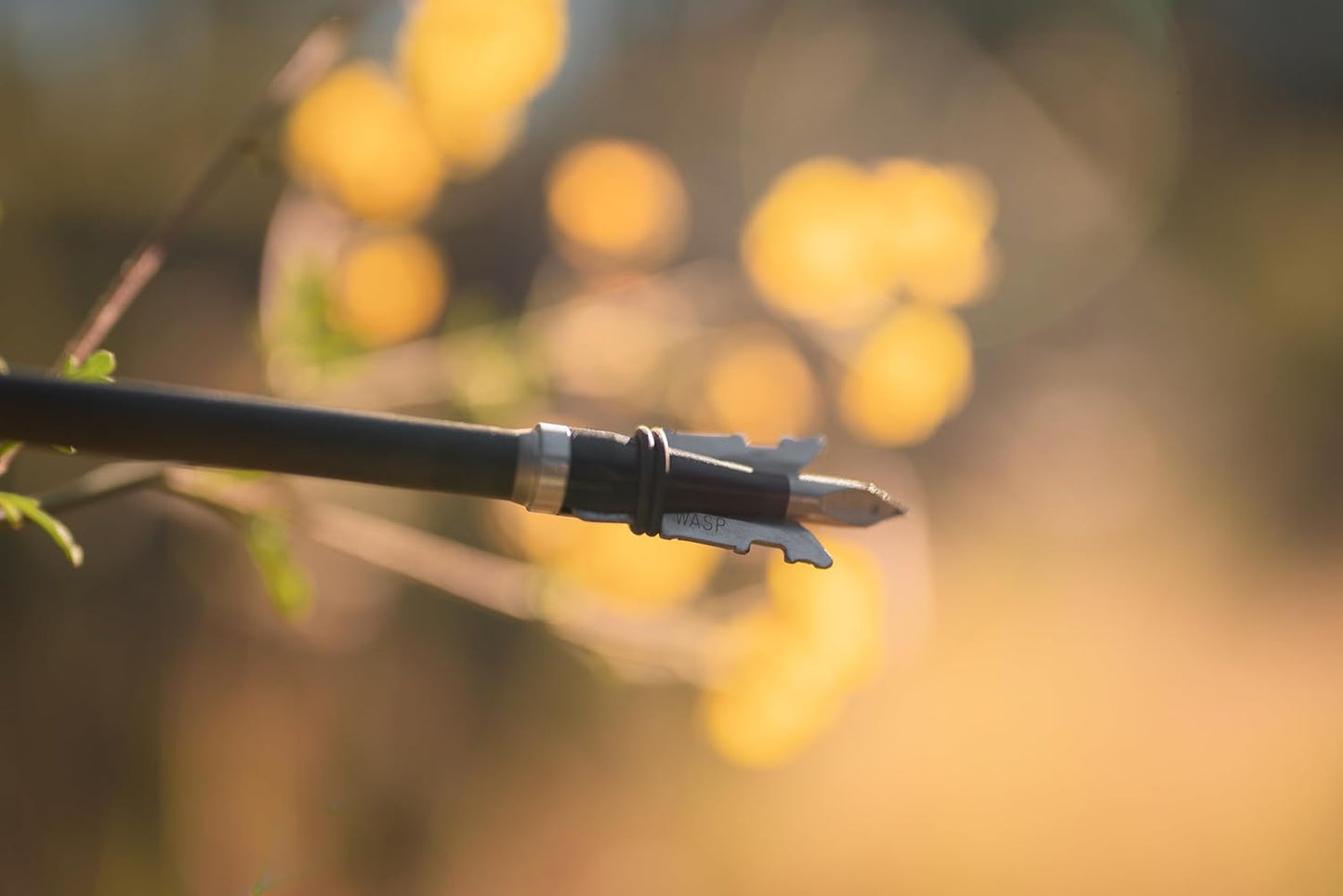 Wasp Jak-Hammer 100 SST 1 3/4" Cutting Diameter Broadhead