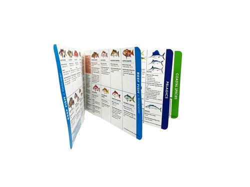 Florida Saltwater Fishing Guide. 100% Waterproof Fish Identification Book with 12 Pages, FWC Rules, Limits, and Seasonal Regulations, 70+ Fish and Shark Photos, Angler and Fisherman Chart