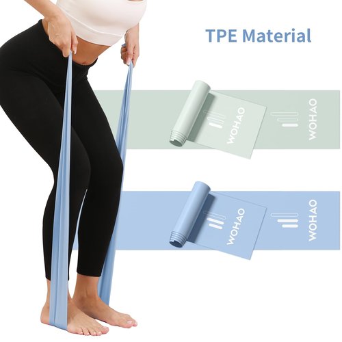 WOHAO Light-to-Medium Resistance Bands Set [Green+Blue 4-Piece] - Progressive Training for Women - with Step-by-Step Chart & Dual Storage Pouch(Blue＆Green)