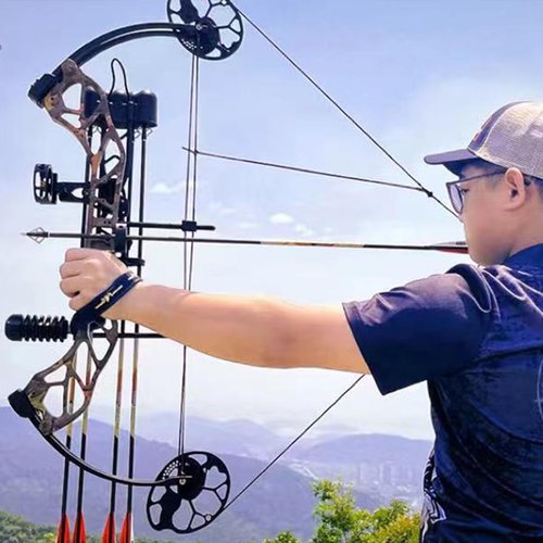 PANDARUS Compound Bow Package for Adults and Teens,19-70 Lbs Draw Weight Adjustable,19"-30" Draw Length,Limbs Made in USA,Archery Bow and Arrow Set,up to 320 fps, Let Off 75%2024 New(BLACKPRO)