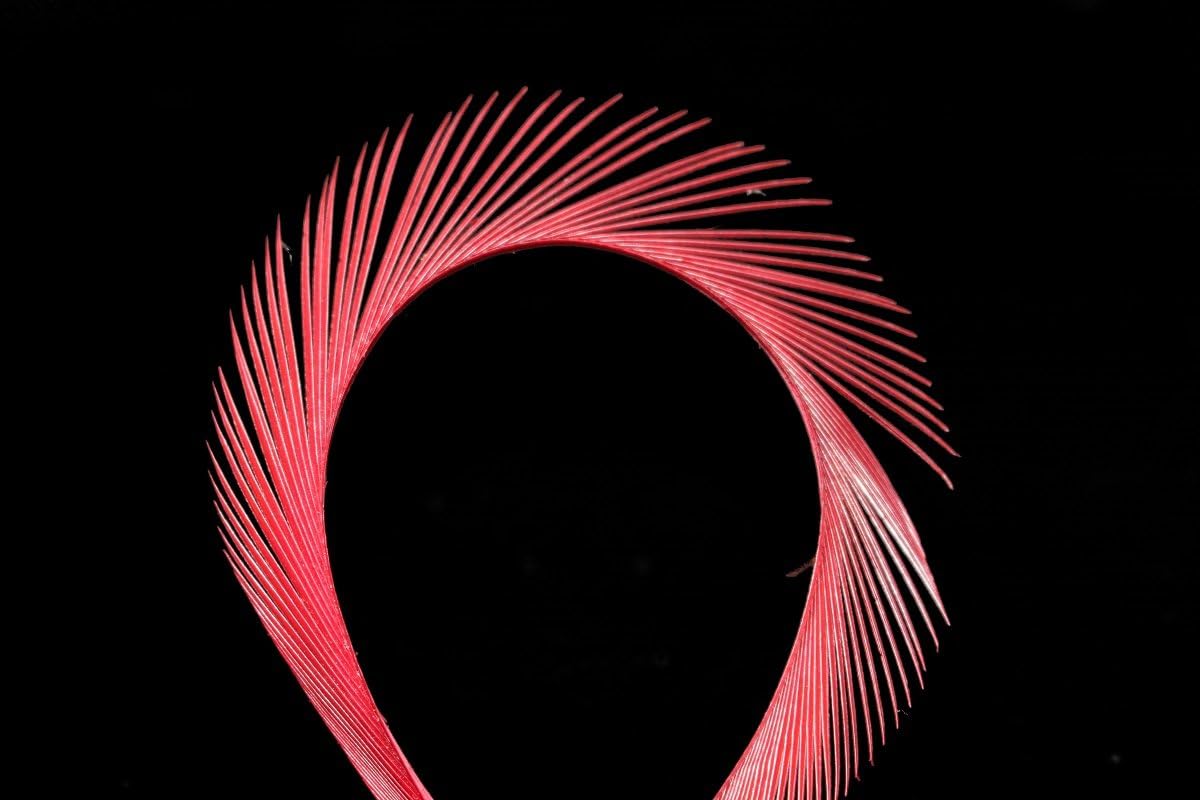 60 pcs/lot 15 Colors Goose Biots Spiky Fibers Feathers Stonefly Nymph Tails Antennae Wings Fly Fishing Tying Materials