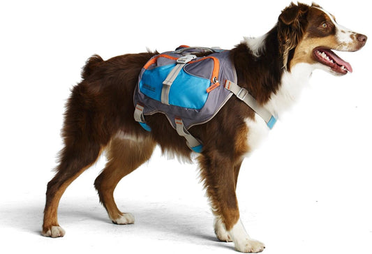 Large Blue Cesar Millan Dog Backpack | Durable Pet Carrier for Hiking & Travel