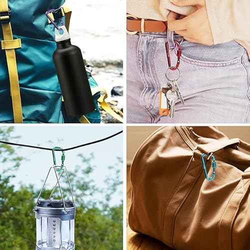 6pcs 2¡±D-Clip Durable Locking Carabiner Keychain Clip with Hook