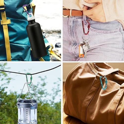 6pcs 2¡±D-Clip Durable Locking Carabiner Keychain Clip with Hook