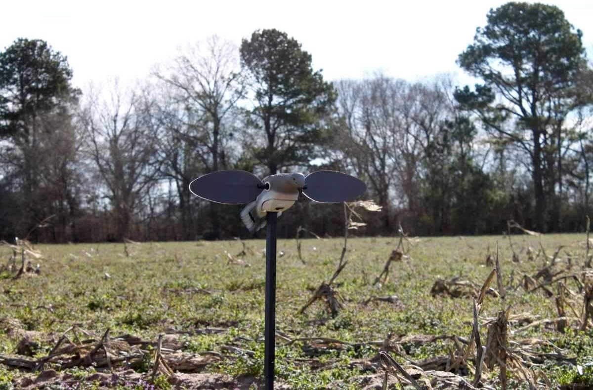 MOJO Outdoors Dove Hunting Decoys and Accessories – (Choose Style)