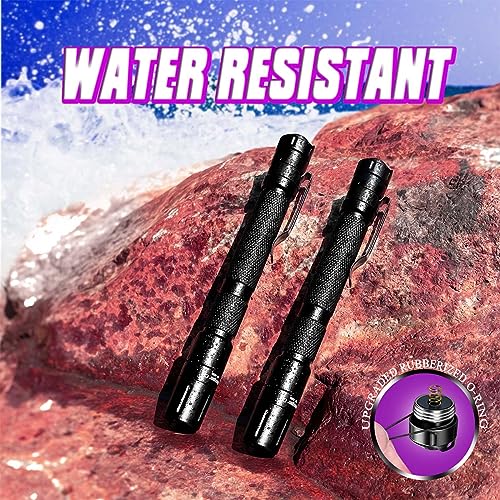 UV Flashlight Penlight 2 Pack - Black & Black, 5.2 Inch Portable Pet Urine & Stain Detector