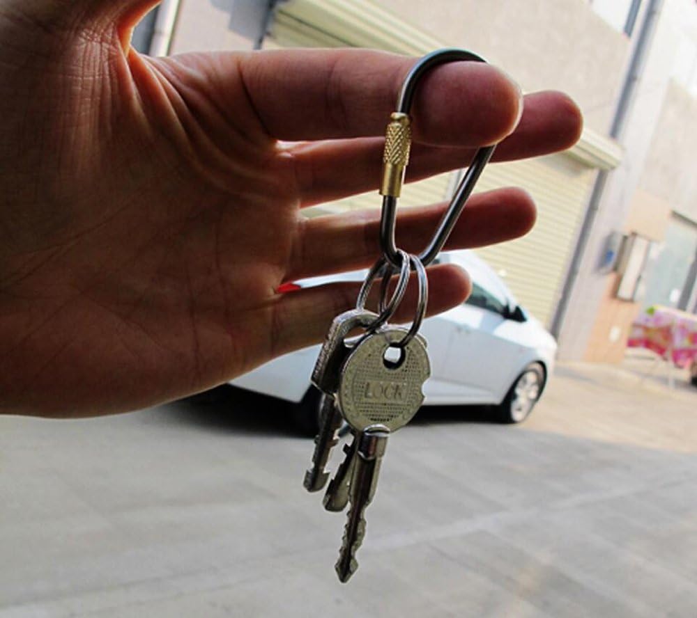 5pcs MINI Titanium Locking Carabiner, Perfect D-Ring for Outdoor and Indoor Use