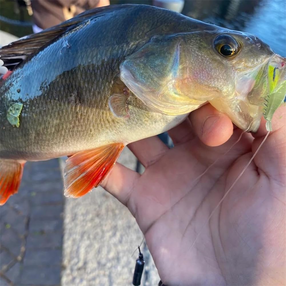 EYAKEG Pre-Rigged Shrimp Crawfish Soft Plastic Fishing Lures, Premium Durable Swimbaits for Freshwater Saltwater, Fishing Jigs for Bass- Amazing Fishing Gifts- Store Separately, Prevent Melting