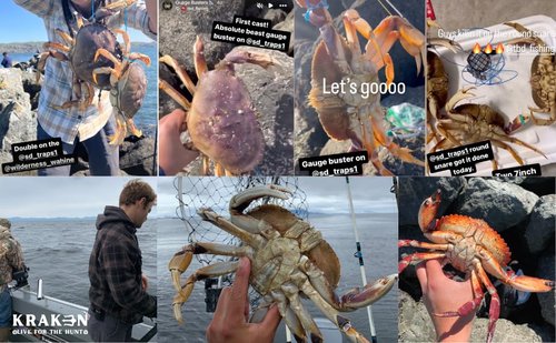 KRAKEN SUPPLY CO 2 Pack Crab Snare Trap Loop Trap Casting for Fishing Pole Dungness Rock Blue Crabs 6 Loops CA, OR, WA Compliant (Snare, 2)