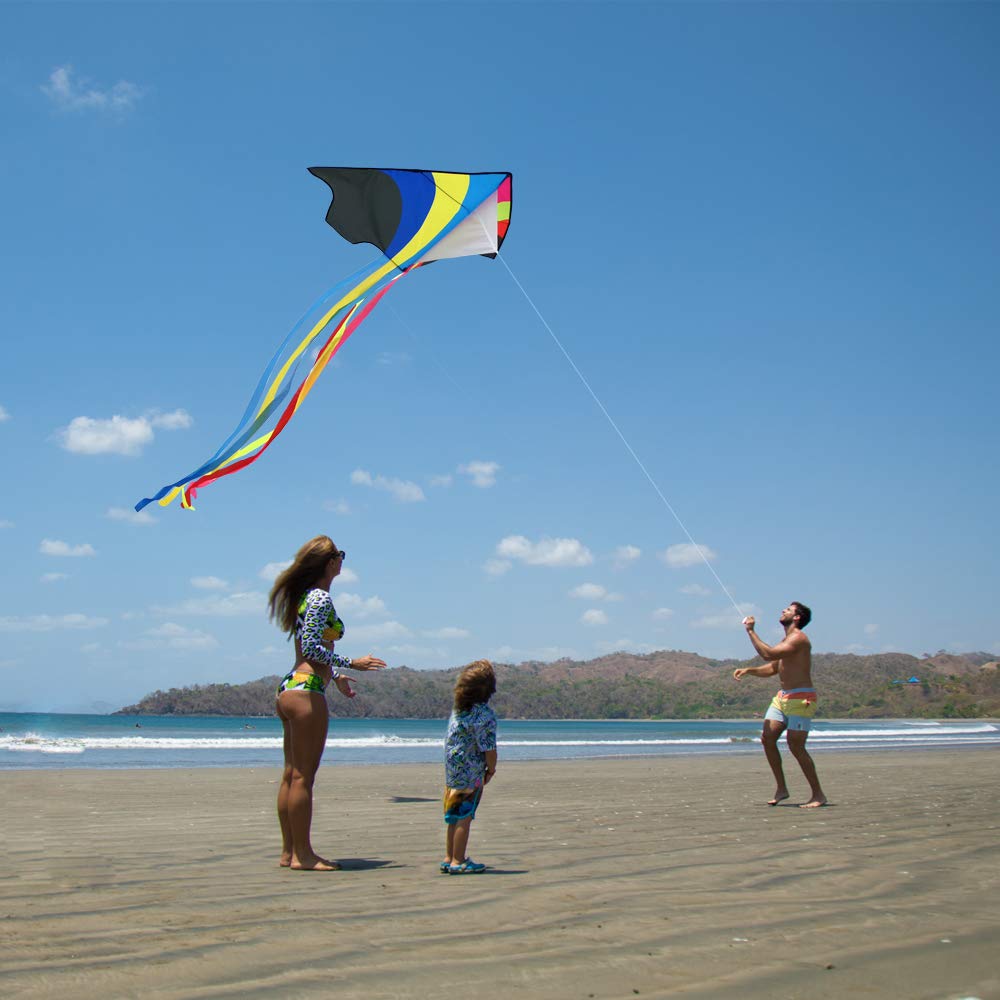 Mint's Colorful Life Rainbow Delta Kite, Polyester; Fiberglass, Large, 5-18 mph Wind Range, Ages 3-80, W/6 Ribbon Tails, Perfect for Travels