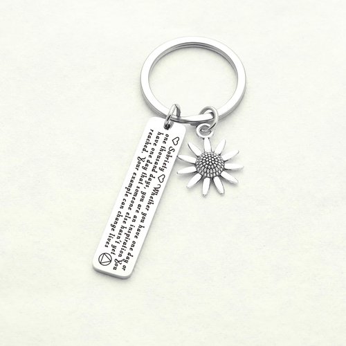 ZQEOU Sobriety Gifts For Women Men Sober Gifts For Women National Sober Day Gift Addiction Recovery Keychain For AA Na Jewelry AA Anniversary Keychain