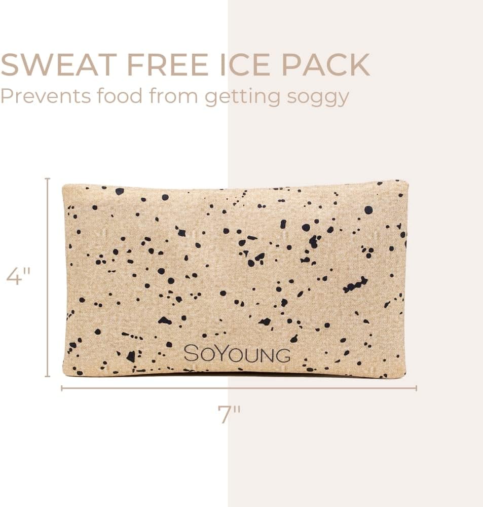 SoYoung Ice Pack - Adults - Kids - Lunch Boxes - Coolers - Backpacks - Eco-Friendly - Non-Toxic - Blue Dinosaur