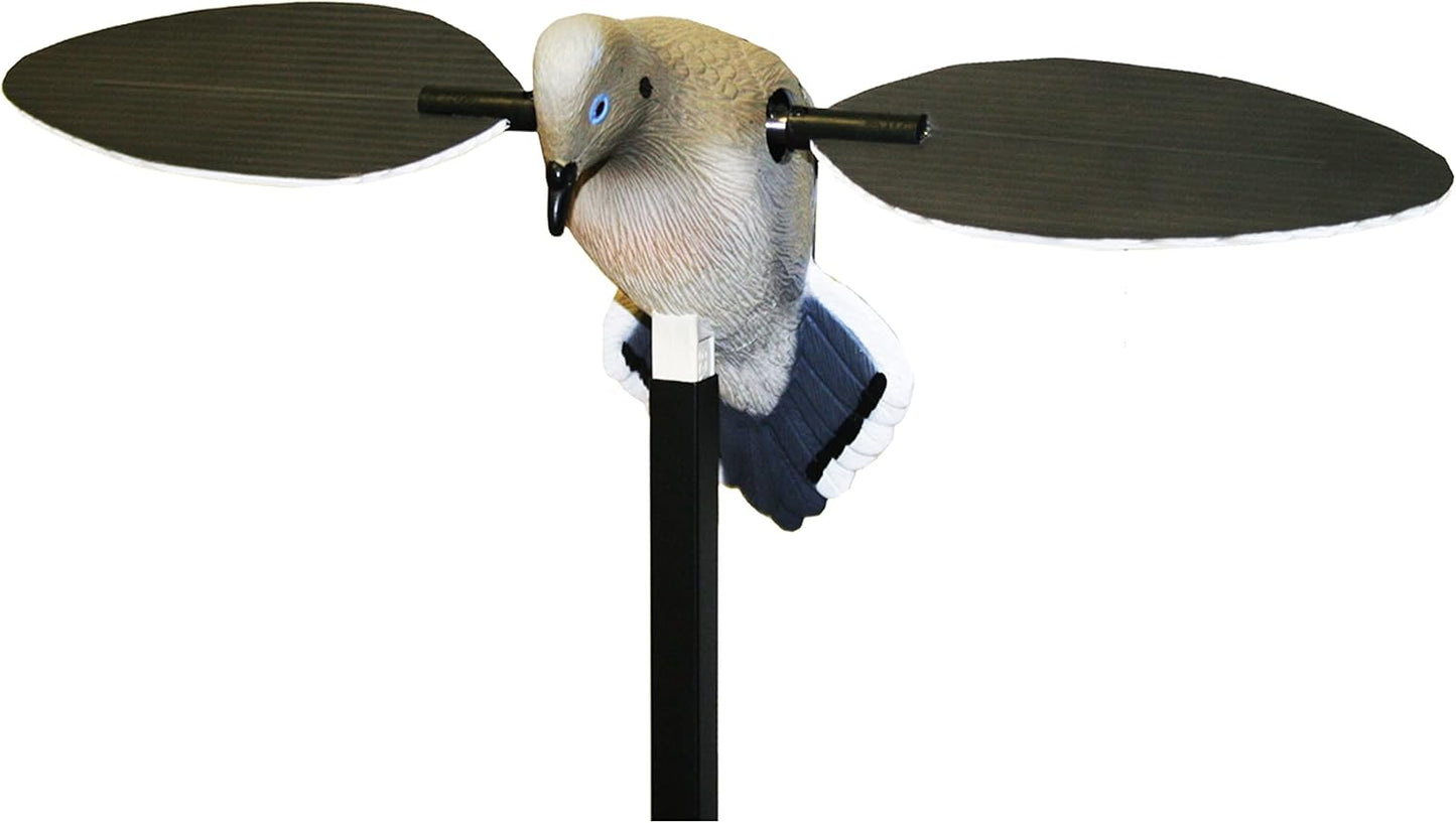 MOJO Outdoors Dove Hunting Decoys and Accessories – (Choose Style)