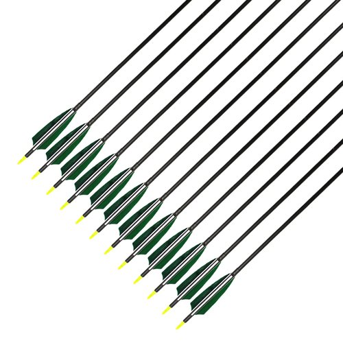 XTCXCARCHERY 30" Carbon Arrows Hunting Arrows with 4" Shield Shaped Turkey Feathers Spine 400 for Recurve & Traditional Long & English Long Bow(Pack of 12) (12, White&Green)