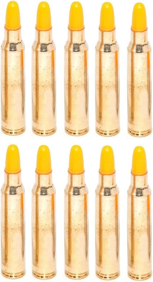 .223 REM Dummy Rounds - Pack of 10 Inert Safety Trainer Cartridges for AR-15/M16