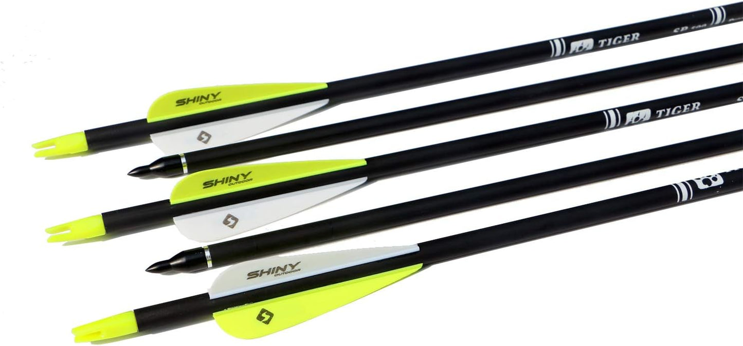 30Inch Carbon Arrow Practice Hunting Arrows with Removable Tips for Compound & Recurve Bow(Pack of 12)