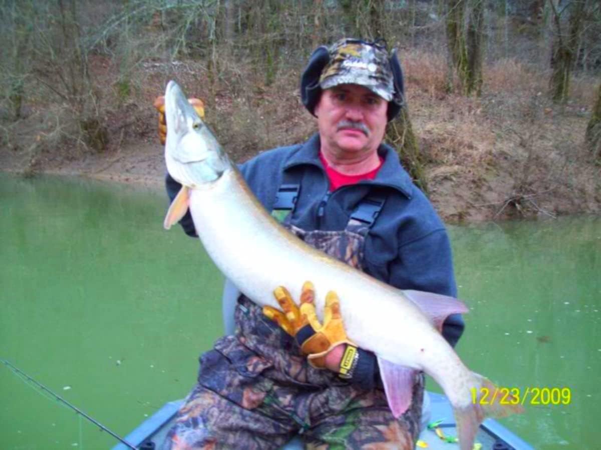 7" RF Glider Glide Bait Bass Musky Striper Fishing Big Lure Multi Jointed Shad Trout Kits Slow Sinking