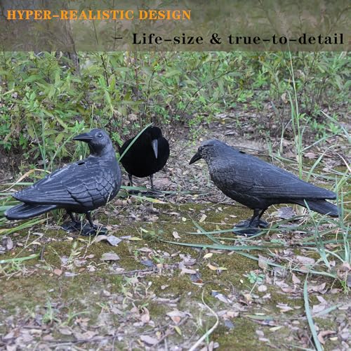 Plastic Crow Decoy with Stake for Hunting and Bird Attracting - Realistic Full Body Design