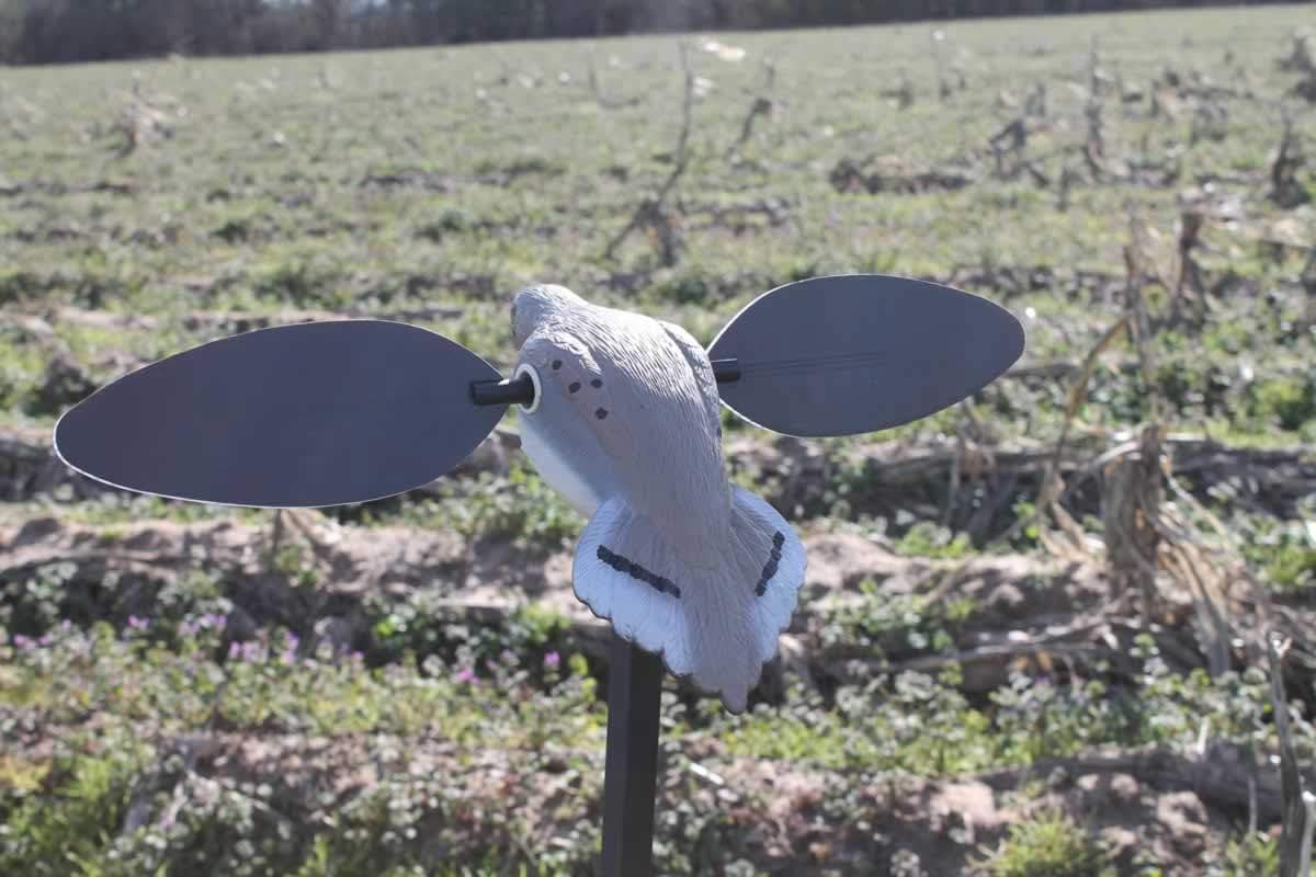 MOJO Outdoors Dove Hunting Decoys and Accessories – (Choose Style)