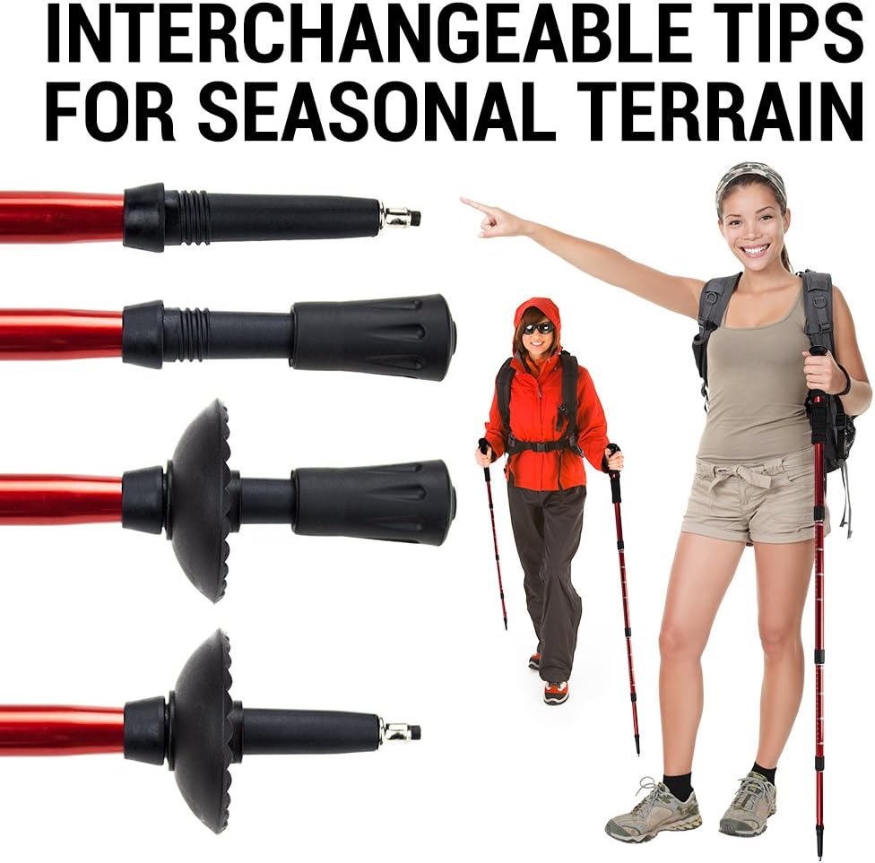 Adjustable 43" Shock-Resistant Trekking Pole & Hiking Staff - Crown Sporting Goods