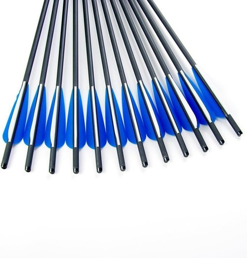 GPP Hunting Archery Carbon Arrow 20" Crossbow Bolts Arrow with 4" vanes and Replaced Arrowhead/Tip