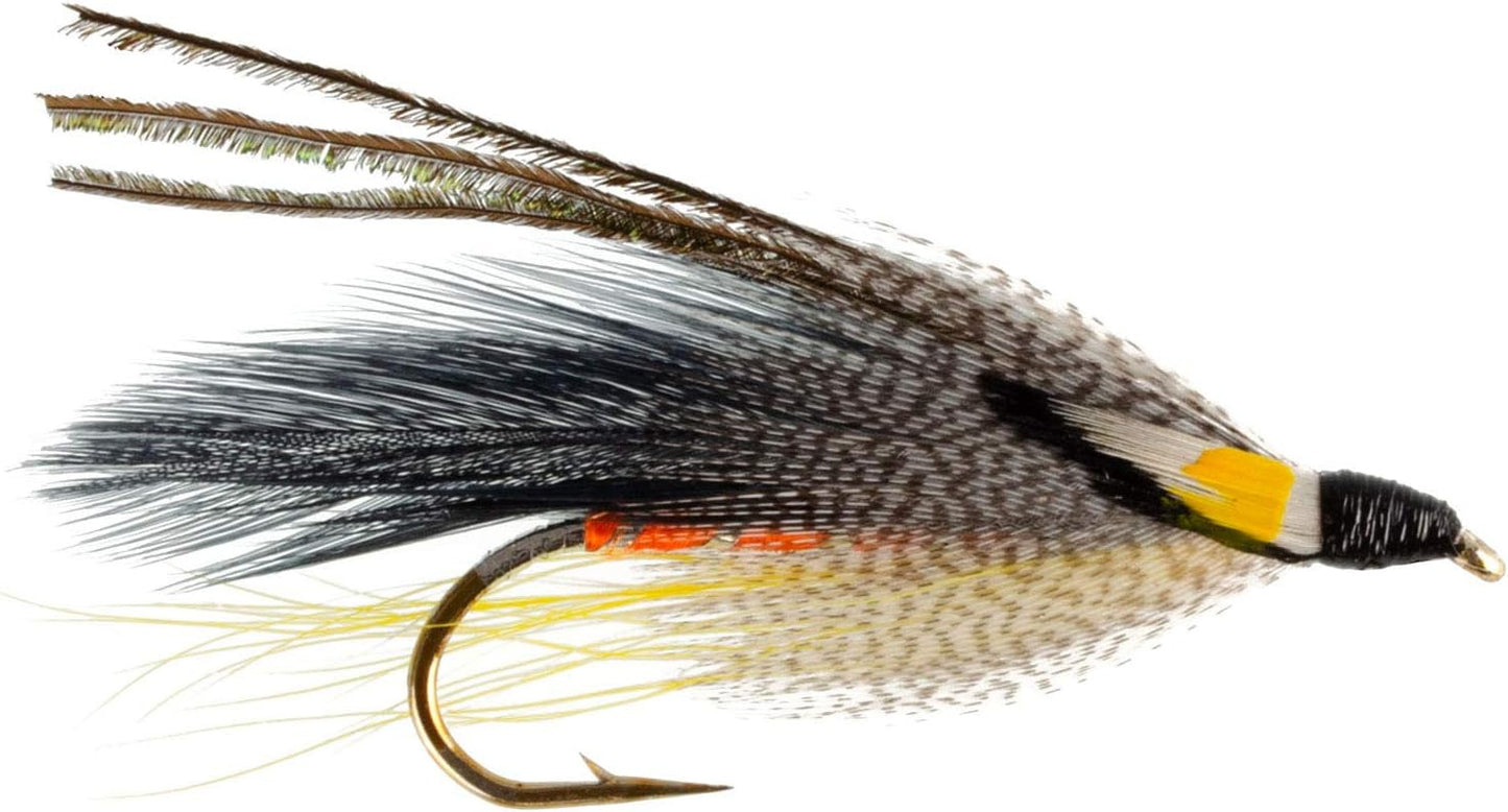 The Fly Fishing Place Classic Streamers Fly Fishing Flies Collection - Assortment of 12 Trout Wet Fly Streamer Flies - Hook Size 4
