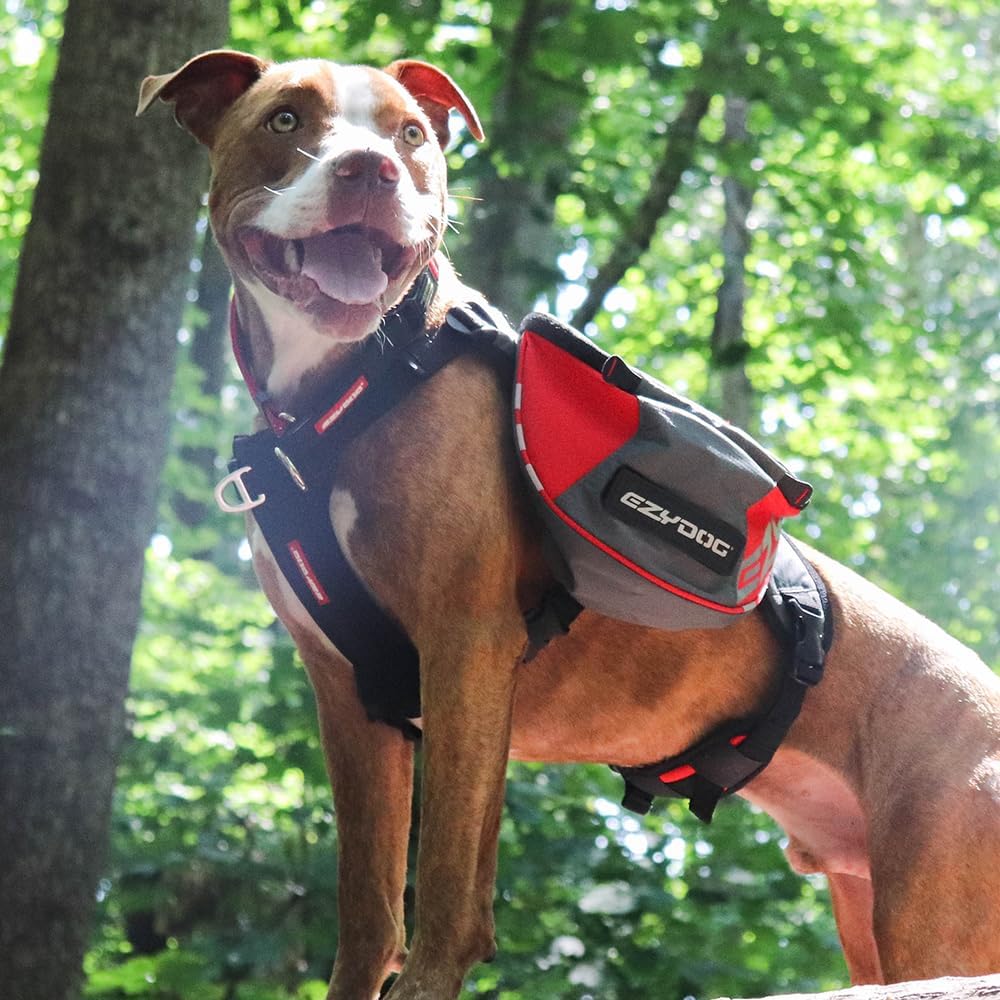 EzyDog Summit Outdoor Dog Backpack - Reflective and Incorporates a Chest Plate Harness - Easy Access Saddlebags with Superior Storage Capacity and Comfort - Front Pull Ring (Red/Gray, Large)