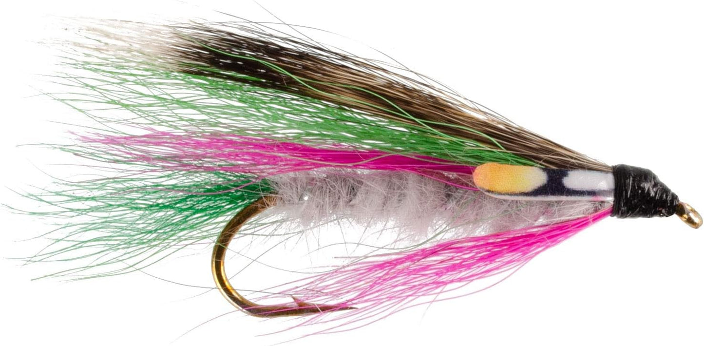 The Fly Fishing Place Classic Streamers Fly Fishing Flies Collection - Assortment of 12 Trout Wet Fly Streamer Flies - Hook Size 4