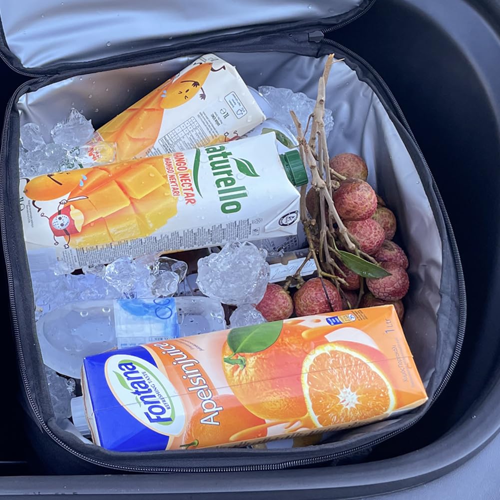 Camping Cooler Tesbeauty Insulated Bags Water Tight Versatile Use Grocery Bags for Tesla Model Y Model X Frunk Organizer Two Bags Shoulder Straps Provided