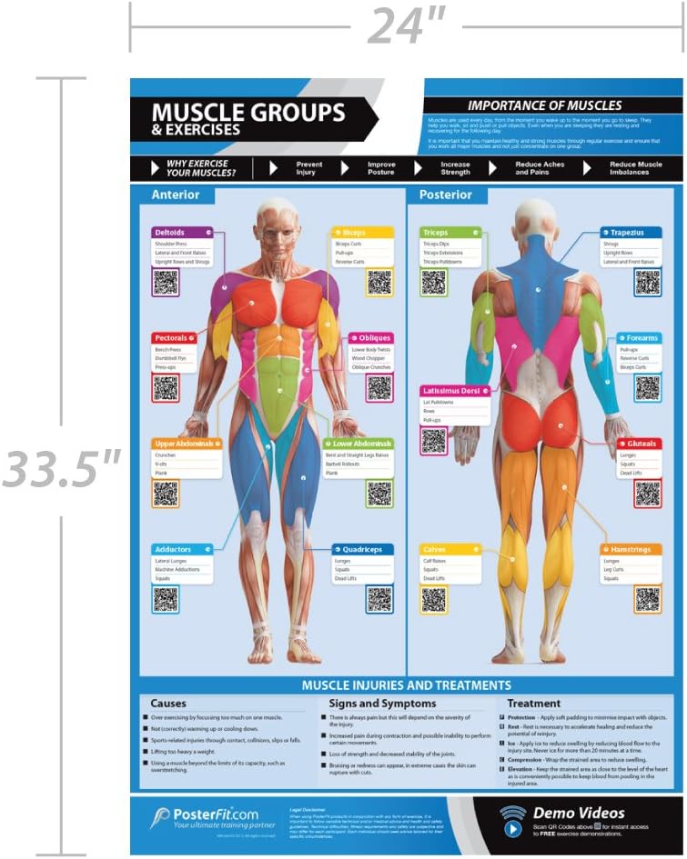 Posterfit Training Zones & Thresholds Poster - EXTRA LARGE - 33 x 23.5 - Laminated - Home & Gym Poster - Includes Online Video Training Support - Exercise Charts