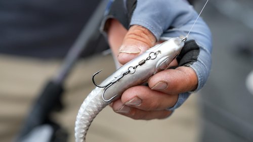 Berkley PowerBait® CullShad Fishing Bait, Albino, 6 in, Soft Swimbait, Equipped with Fusion19™ Hook, Smart Weighting System