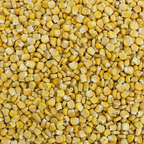 Harmony House Premium Sweet Corn Freeze-Dried - 100% Natural, Healthy Snack Foods