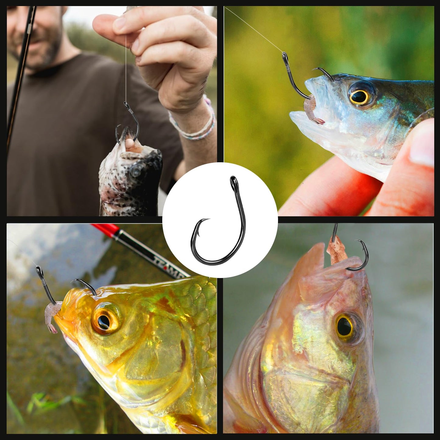 FishTrip Circle Hooks Saltwater 25pcs,in-Line Circle Fishing Hooks 5X Strong for Catfish,Black/High Carbon Steel/Non-Offset/Closed Eye/Wide Gap for Striped Bass Salmon (Size 2/0)