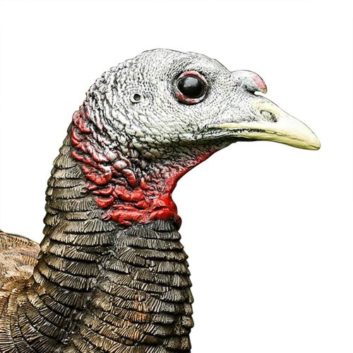 AVIAN-X LCD Feeder Hen AVX8007 & Breeder Hen AVX8008 Turkey Decoys | Realistic Lifelike Collapsible Standing Hunting Decoys with Carry Bag & Stake