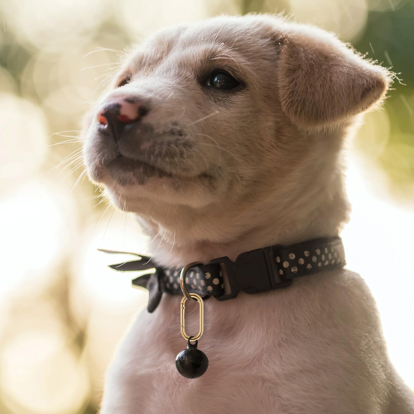 JJUNW 2Pcs Gold Carabiner, Gold Key Ring, Gold Carabiner Clip Oval Snap Clip, Metal Keychain Clip for Purse Strap Alloy Round Buckle Key Hook for Bags Purse Keychain Replacement