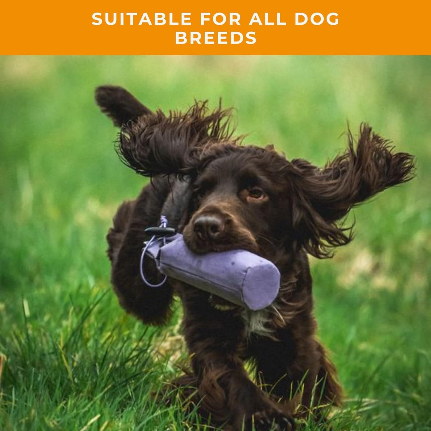 Dog & Field 1lb Dog Training Dummy - Canvas Dummy for Hunting Dogs & Puppy Training. Dog Retriever Training Dummy, Dog Training Bumper, Hunting Dog Accessories, Water Float Dummy