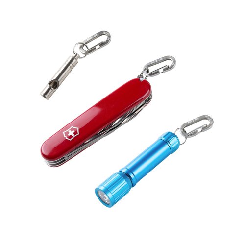 Nite IZE MicroLink Carabiner - Heavy-Duty Carabiner Clips for Keys & Keychains - Small Carabiners for Keychain Accessories - Stainless Steel Clips for Key Organizer - 4 Count (2 Pack)