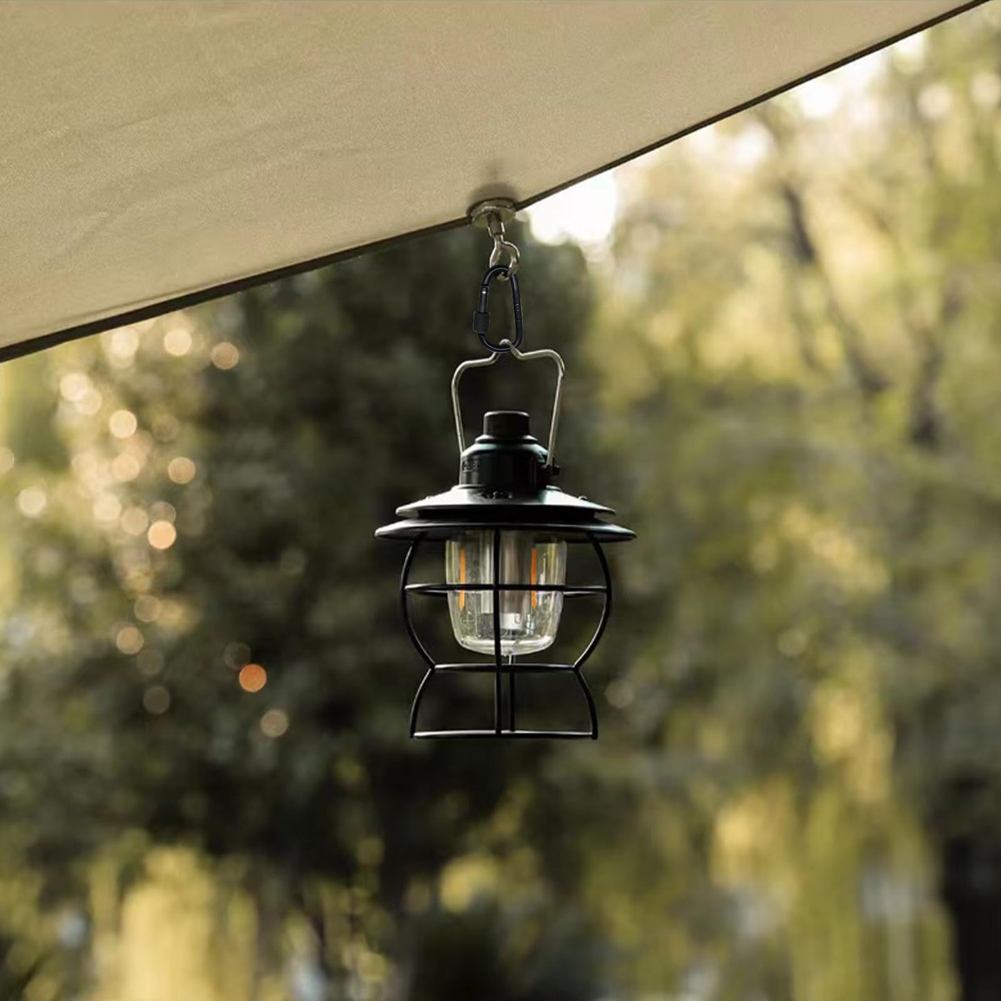 6 Pack Small Locking Carabiner Clips - 3 Inch Aluminum Alloy D-Ring Key Hooks with Twist Lock, Secure for Keys, Pet Leash, Travel Accessories (Not for Climbing)(Multicolor1)