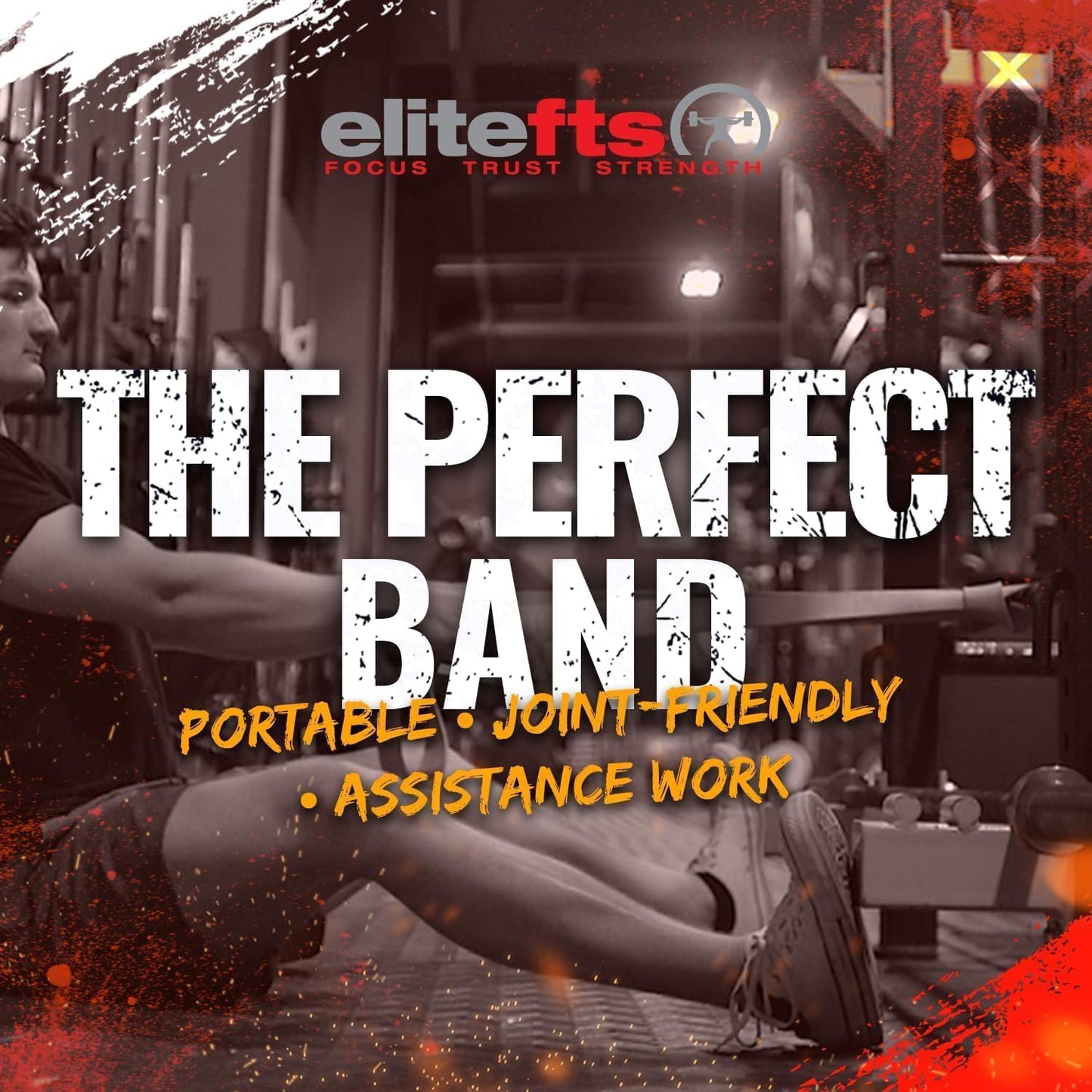 Pro Resistance Band for Core Stability & Flexibility - EliteFTS Portable & Joint-Friendly