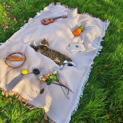 Mrchrogge Extra Large Picnic Outdoor Blanket, 70''x 70'' Foldable Blankets Gingham Zuktcr Picnic Mat for Beach, Camping Grass Lawn (Khaki)