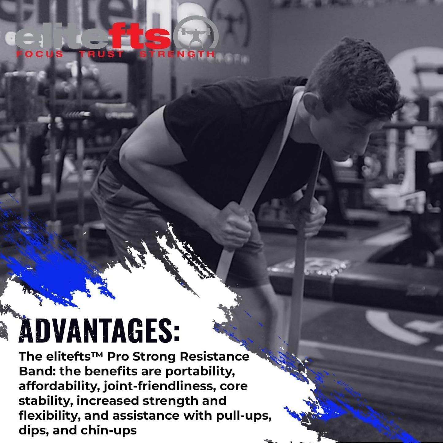 Pro Resistance Band for Core Stability & Flexibility - EliteFTS Portable & Joint-Friendly