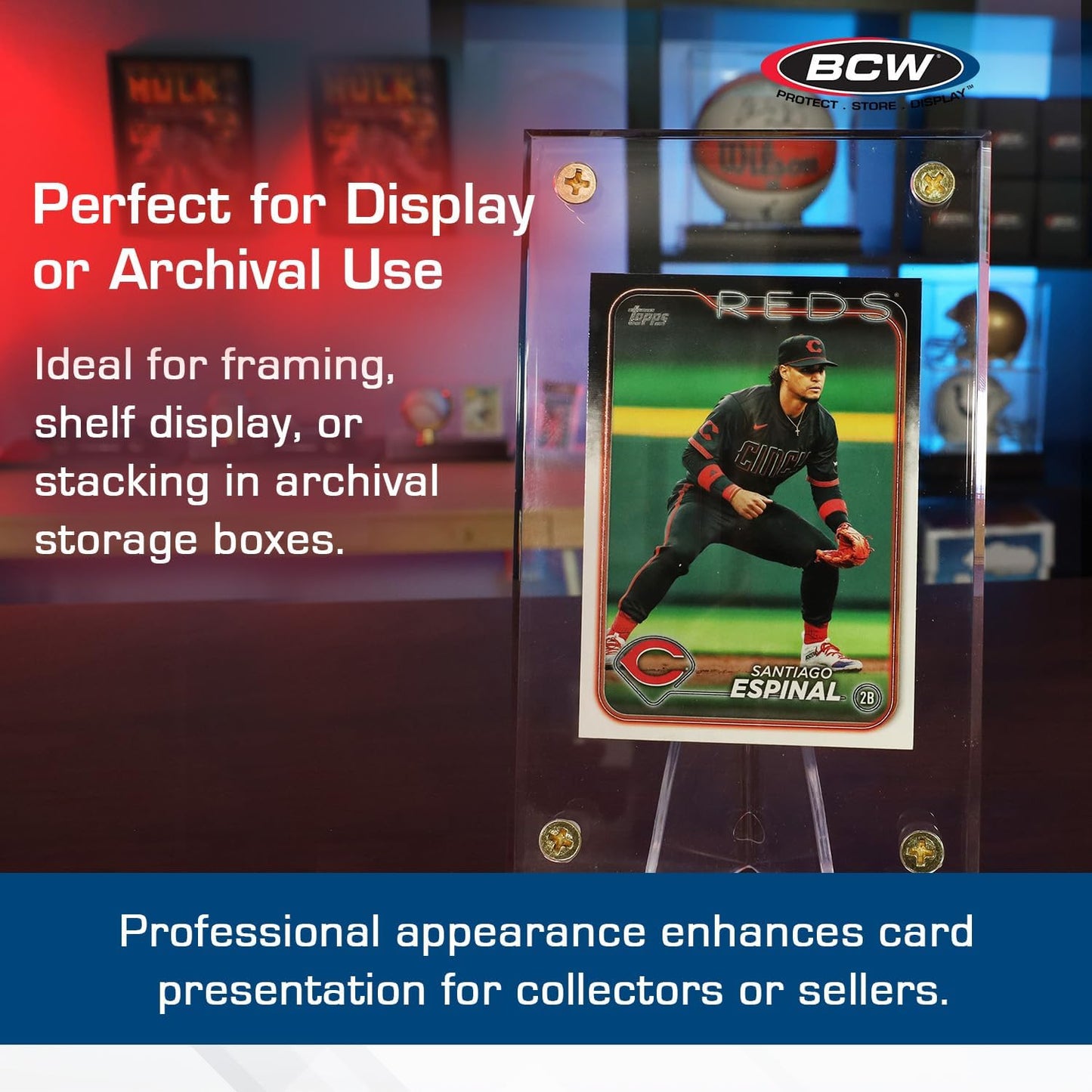 BCW 1/2 Inch Acrylic Card Holder - 1 Pack | Crystal Clear Protection Display Case for Trading Cards